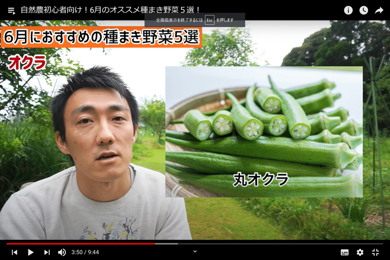 自然農 家庭菜園 6月におすすめの種まき野菜5選 井上寅雄農園 井上隆太朗 Note