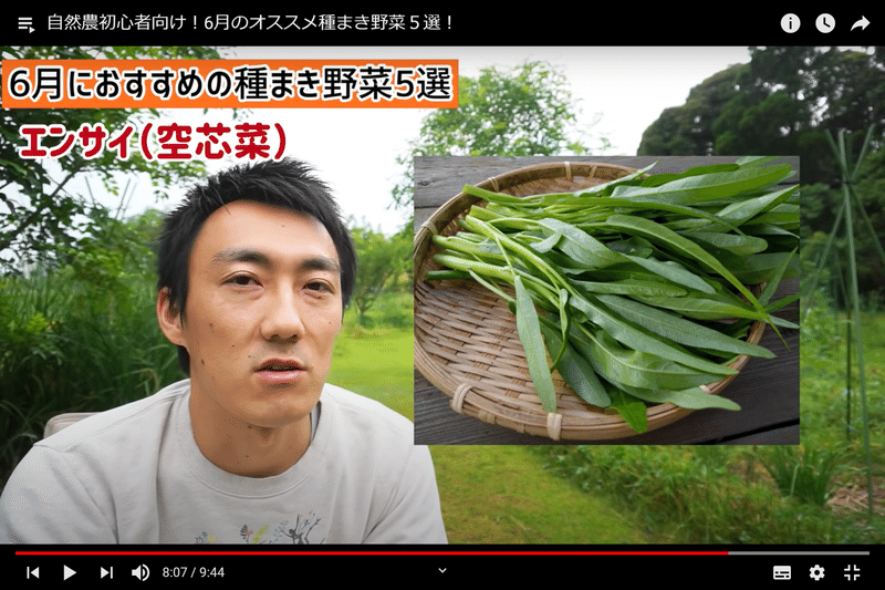 自然農 家庭菜園 6月におすすめの種まき野菜5選 井上寅雄農園 井上隆太朗 Note 自然農 家庭菜園 6月におすすめの種まき野菜5選 井上寅雄農園 井上隆太朗 Note