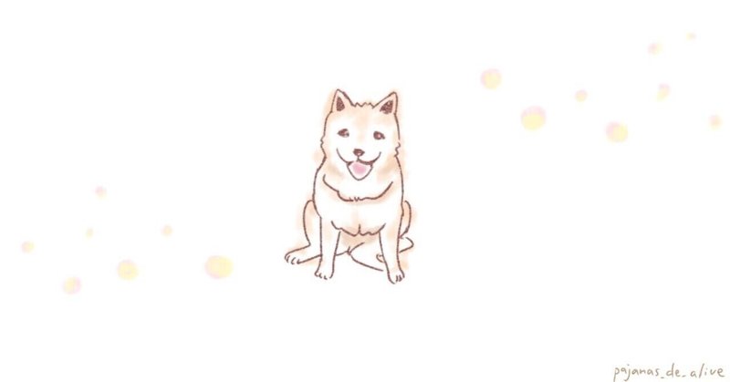 柴犬の外飼いがかわいそうで泣いた日 ゆっきー 飽き性な一人暮らし Note