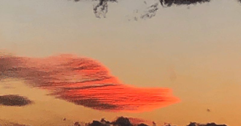 運動の科学 運動はいいぞ やる気が出ないときは立ち上がれ 物理 プログラミング Python Web制作 自己啓発 Note