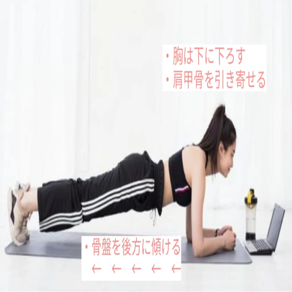 Noteで学ぶ筋トレの科学 2月 体幹トレーニング を学ぶ プランク 虫圭 O W カエル 腸内細菌学 心理学 発信中 Note