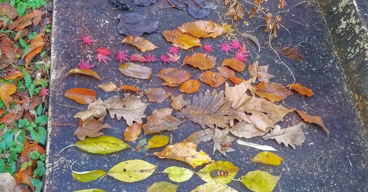 2017年 小説 ファンレター ハヤカワサヤカ Note