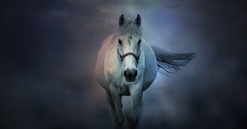 吹雪の競馬予想 6 5 土 吹雪 Note