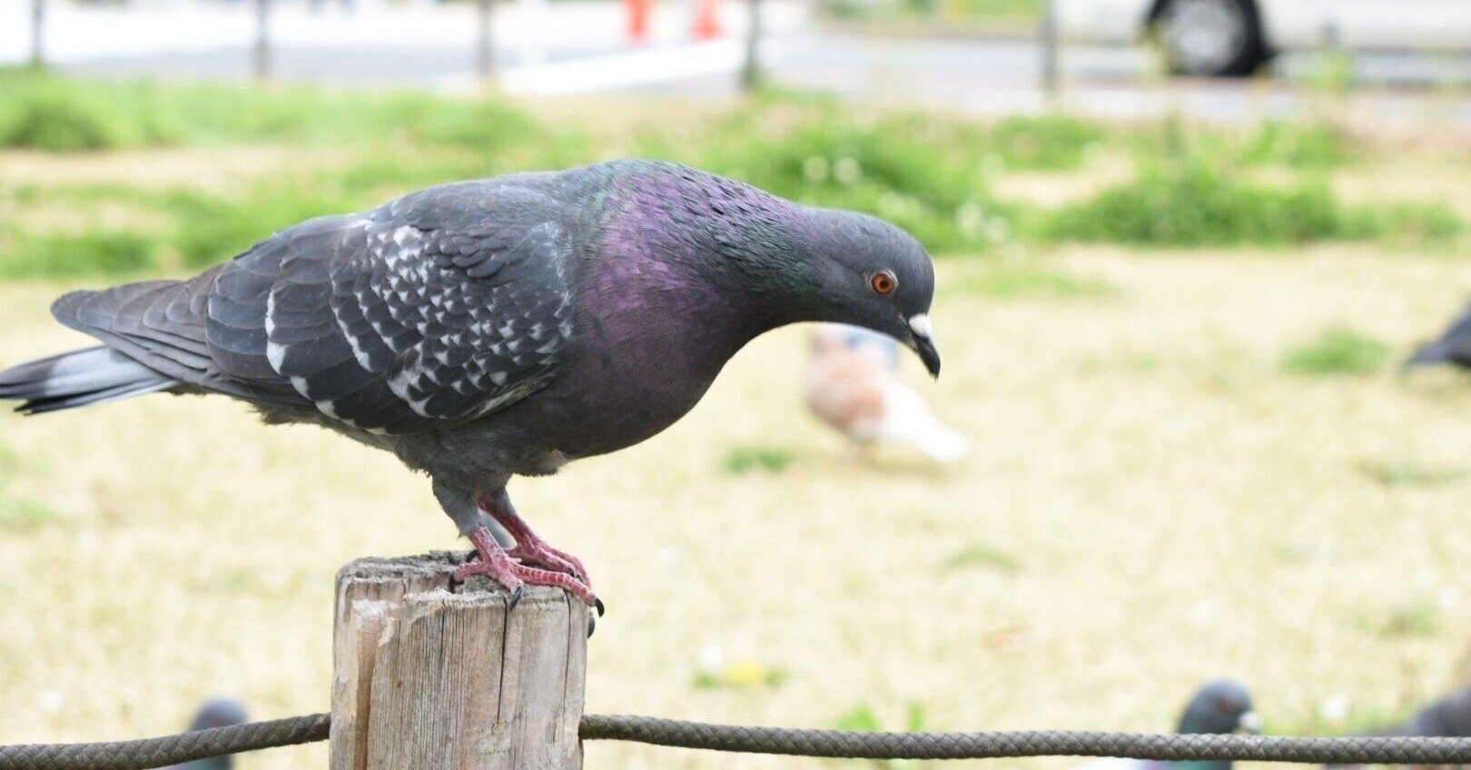 前に進めないとき 勇気を出す方法 269 つむぐ Note