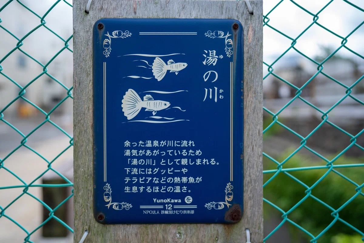 画像18