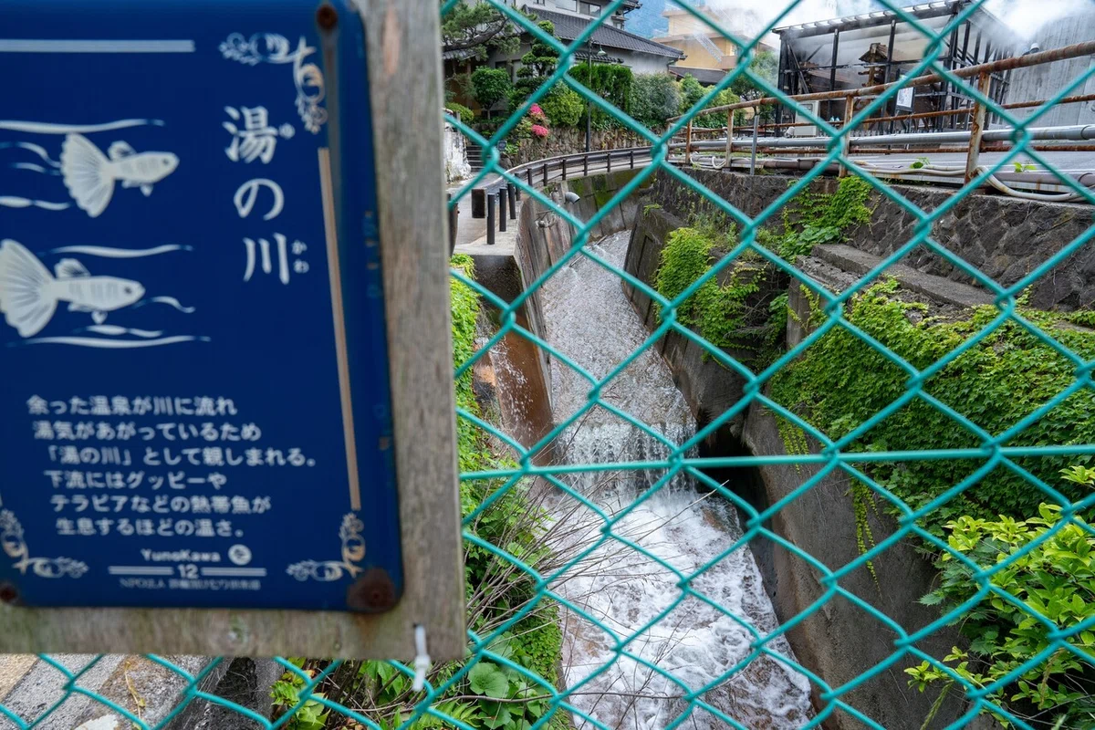 画像19