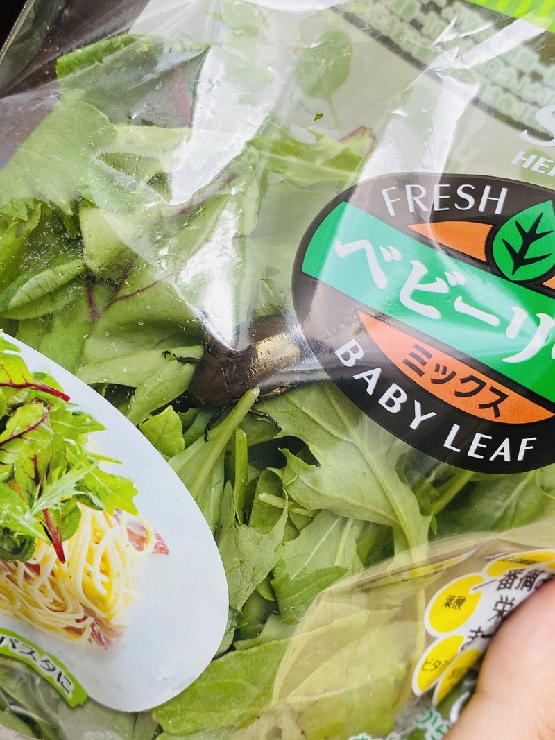 カナブン事件 もしも 虫が入った 野菜袋に 出会ったら Sandy 父業 経営 時々茶人と芸大と Note カナブン事件 もしも 虫が入った 野菜袋に 出会ったら Sandy 父業 経営 時々茶人と芸大と Note