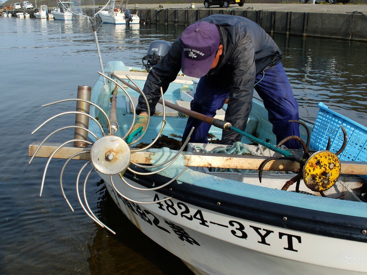 3 わかめ採りから出荷まで｜あさひまち物語〜文化と風景〜