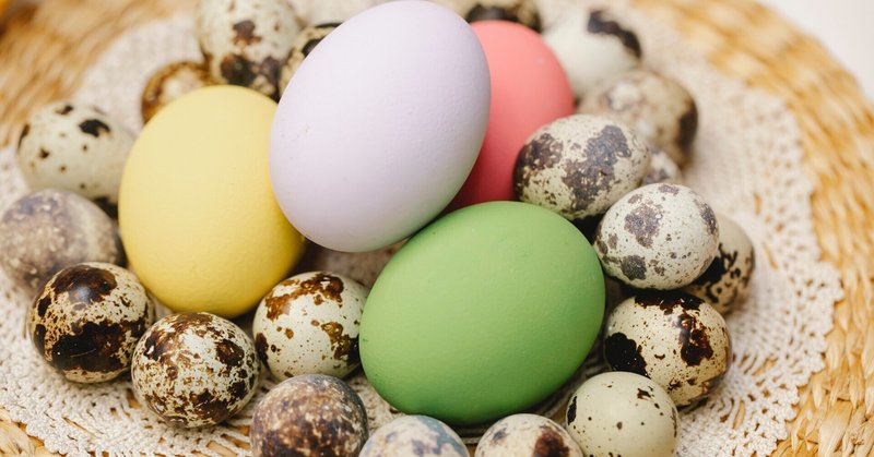 旅人の未来を考えるコーチの卵たち Pooloサークル紹介 Poolo見聞録 Note