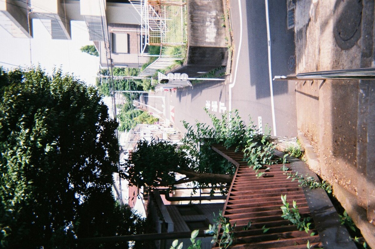 坂道を見下ろしたフィルム写真。