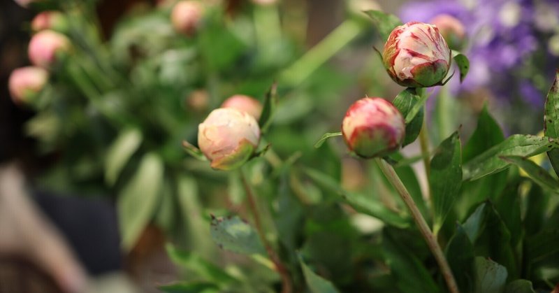 お花屋さんになる の新着タグ記事一覧 Note つくる つながる とどける お花屋さんになる の新着タグ記事一覧 Note つくる つながる とどける