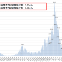 凸５角形によるタイル張り４種を発見した主婦マジョリー ライス Sgk Note