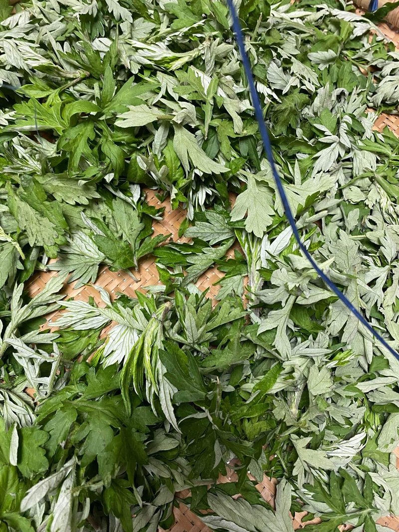 ヨモギをリカーに漬ける 世利好薇 Note