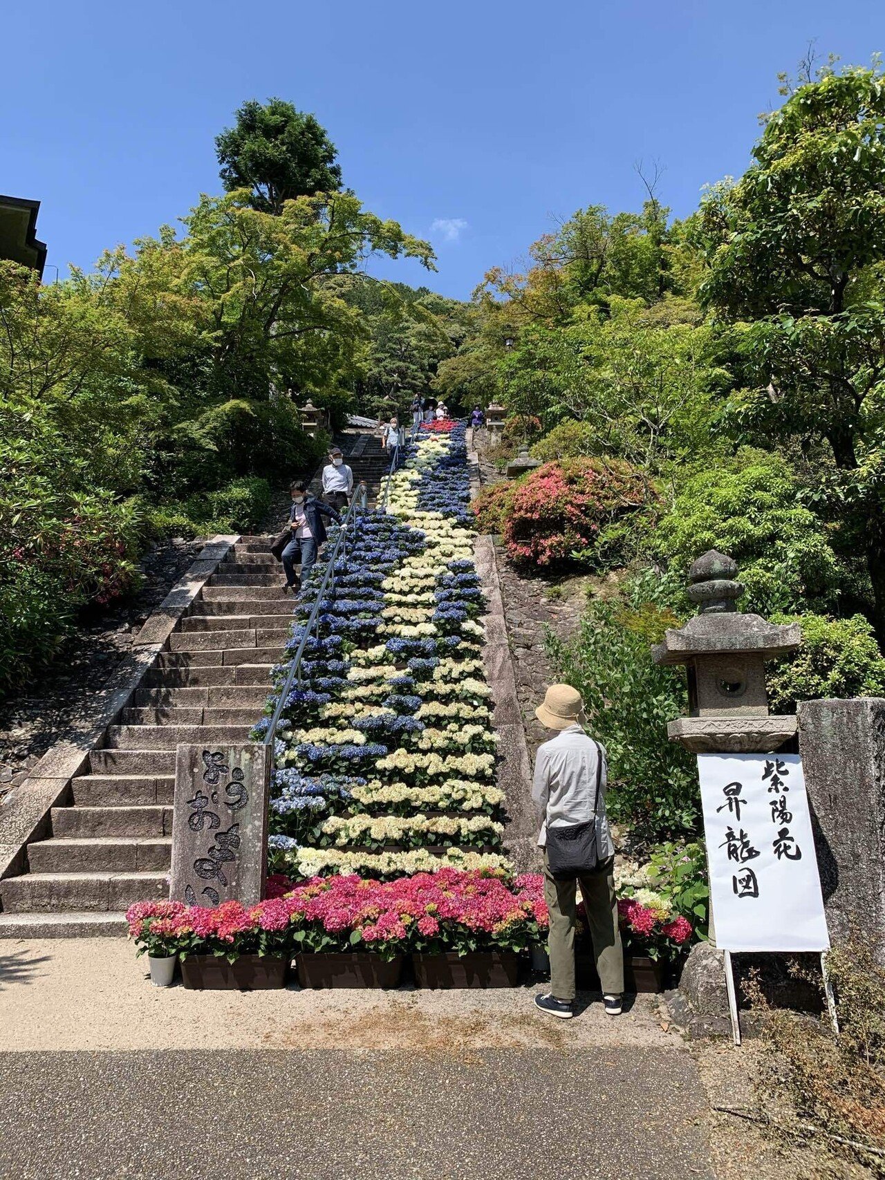 古来は菟道 うじ と称された宇治市の三室戸寺 Panda Note 古来は菟道 うじ と称された宇治市の三室戸寺 Panda Note