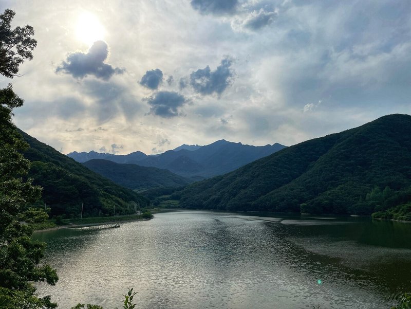画像8
