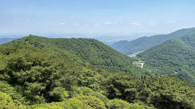 画像14