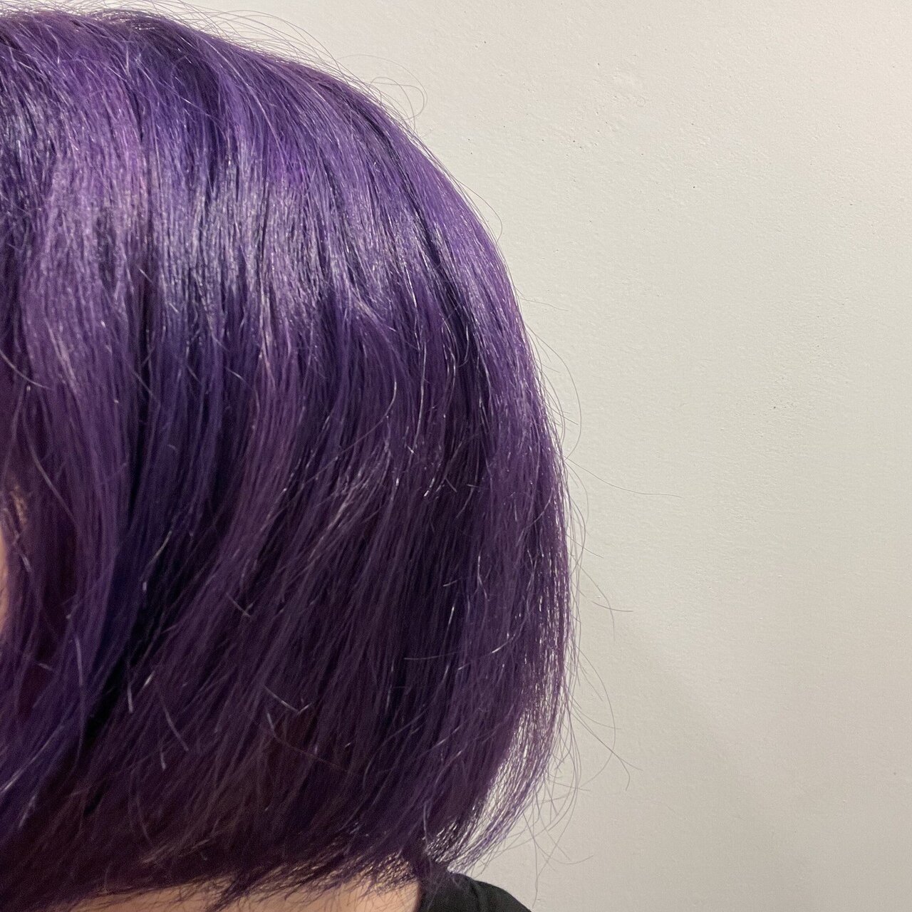 自分でパープルヘアカラー｜pictoria