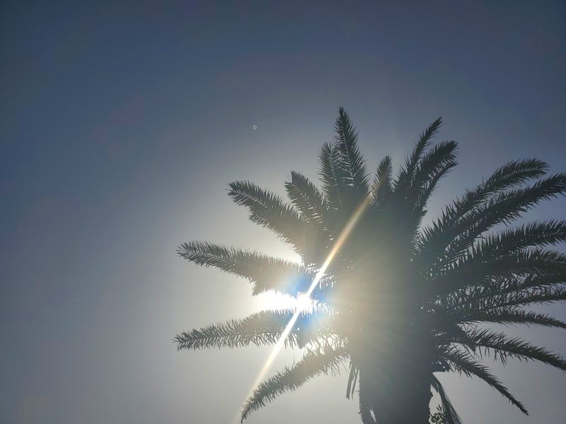 忠誠 の新着タグ記事一覧 Note つくる つながる とどける