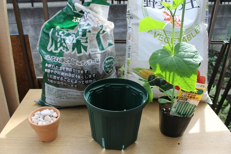 テラスの植物 きゅうり空中栽培 21 6 3 Nakada Shugo Note