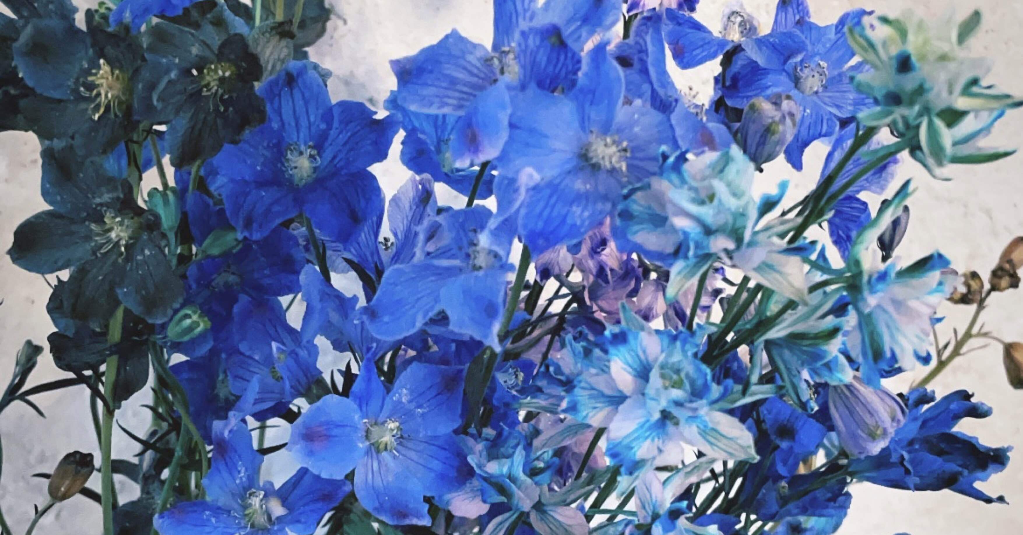 7ce0b489cffe5feaec5fb13ddf296a