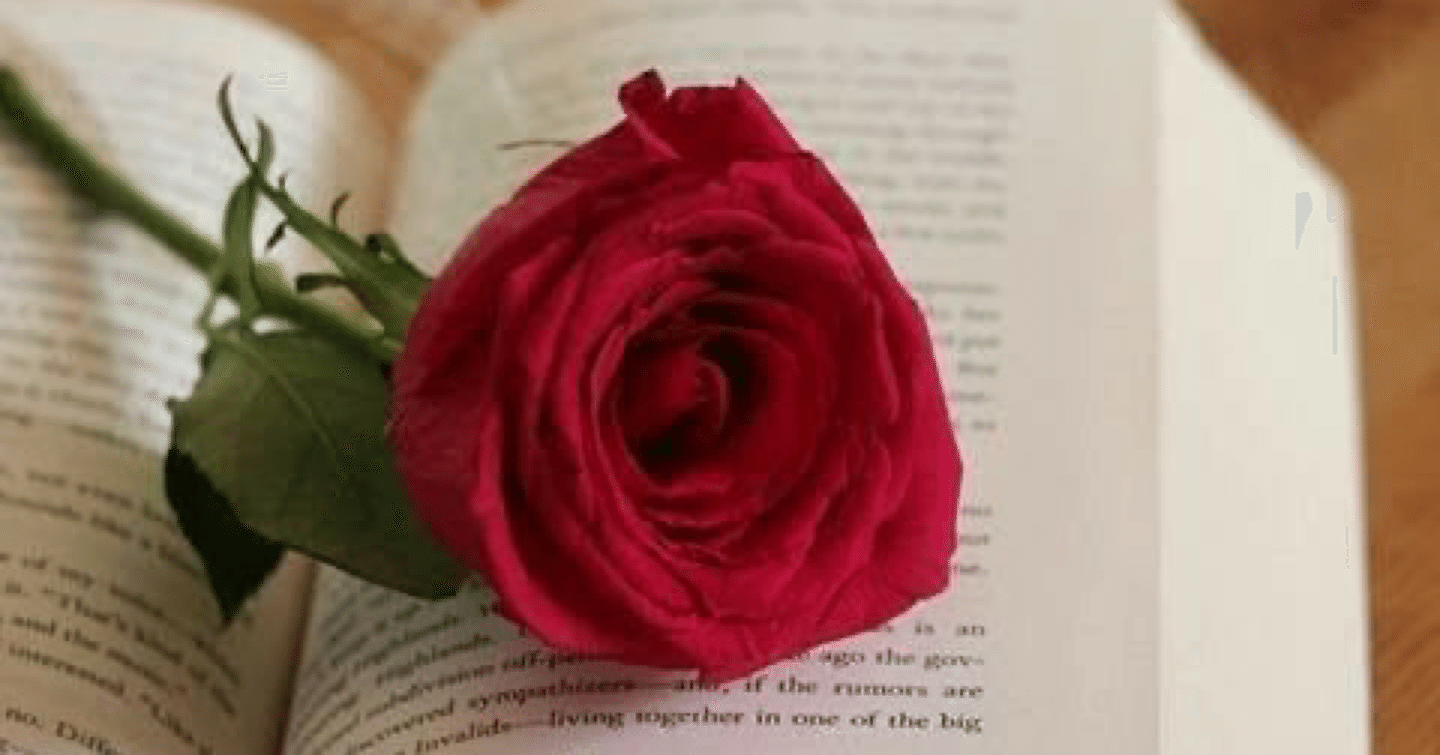 本の虫 みぃち Note