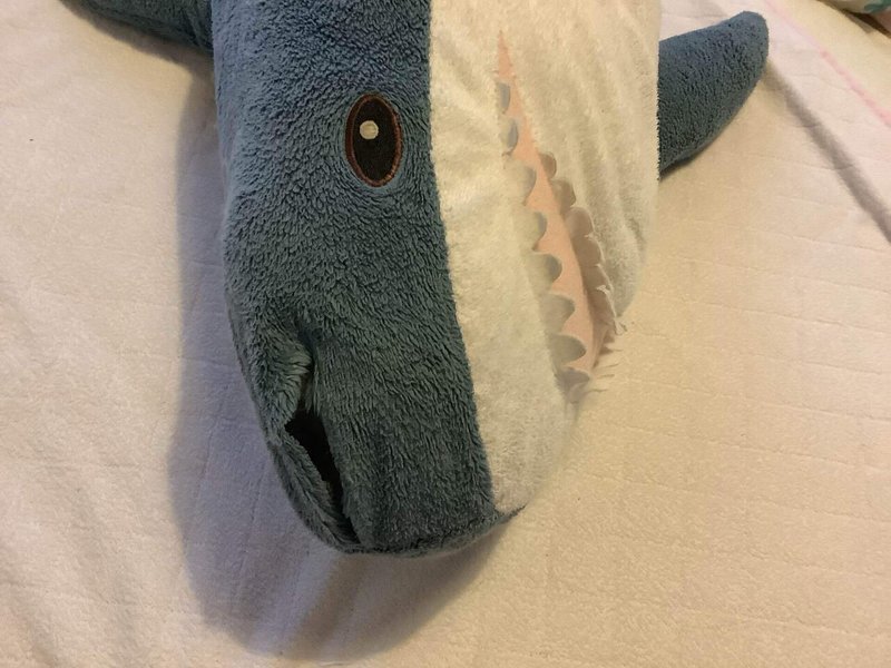 サメぬい修繕大作戦 復活のイケアシャーク むすみ Note