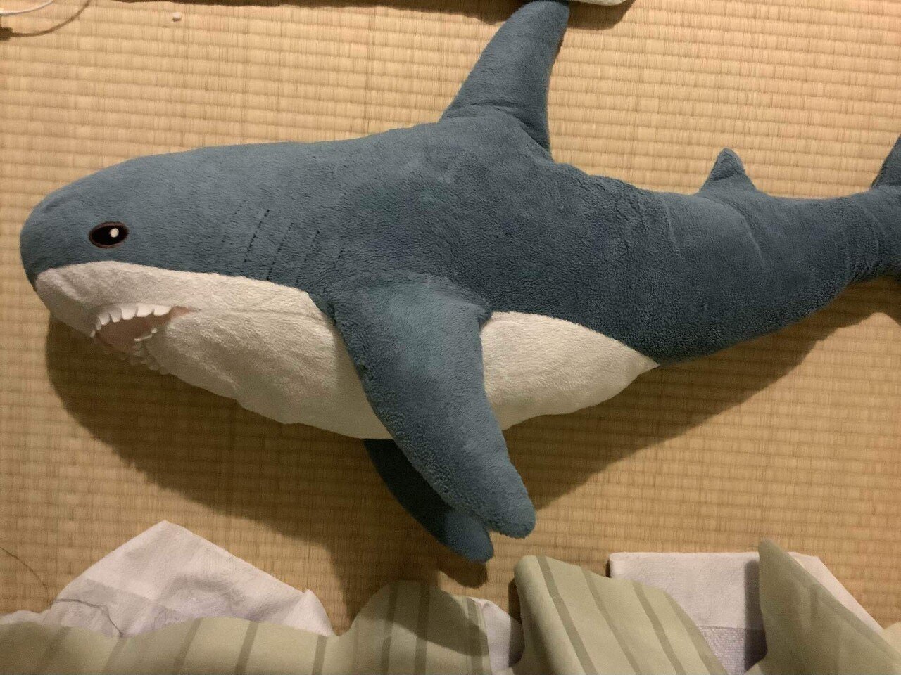 サメぬい修繕大作戦 復活のイケアシャーク むすみ Note サメぬい修繕大作戦 復活のイケアシャーク むすみ Note