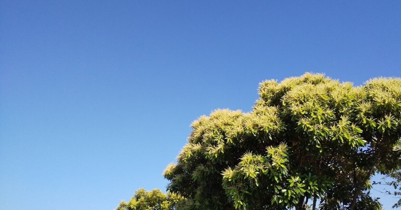 Smap オリジナルスマイル を聞くと思い出す のりこ Note Smap オリジナルスマイル を聞くと思い出す のりこ Note