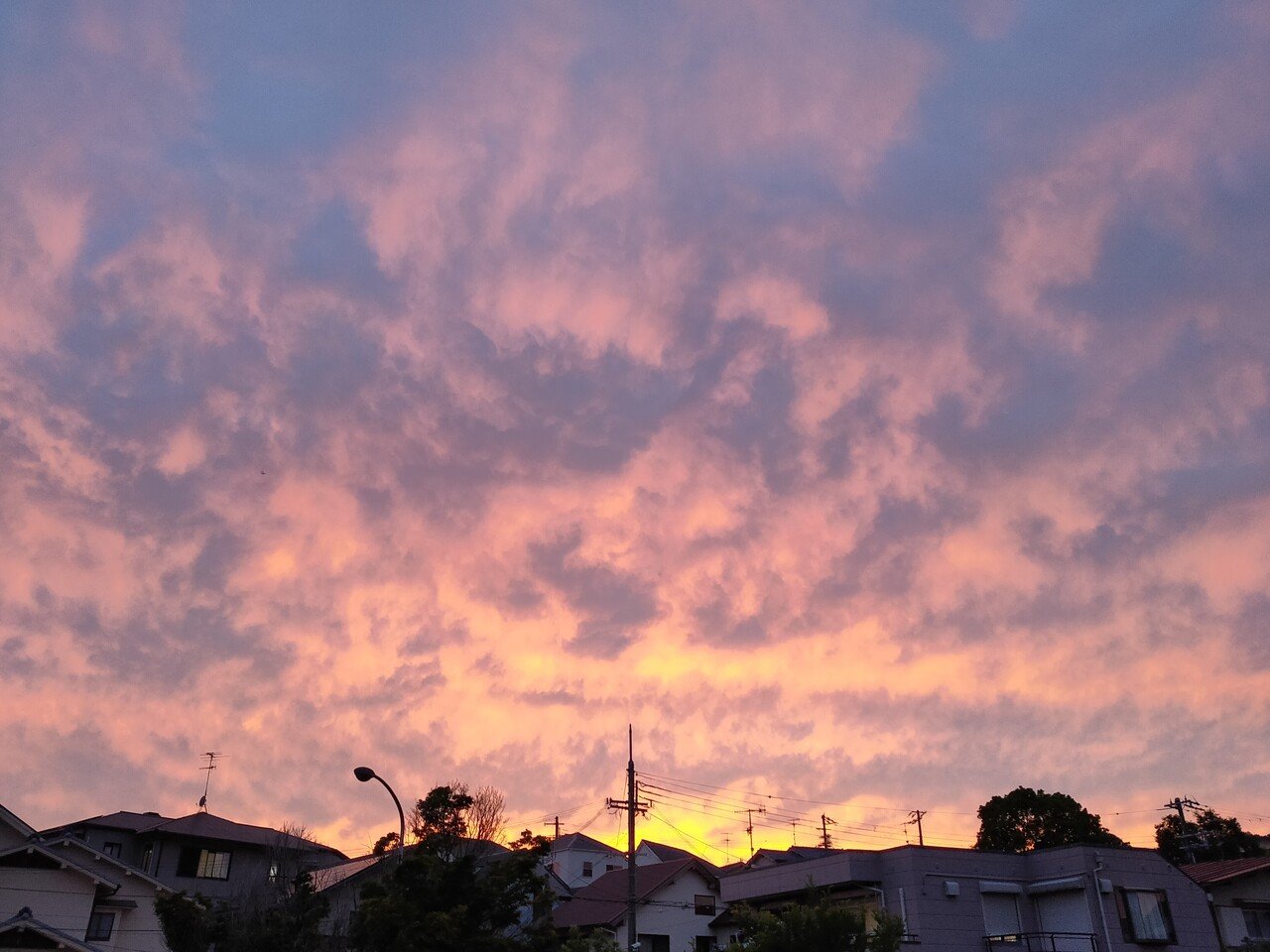 今日の夜さんぽ 4日ぶりの夜さんぽ 燃えるような夕焼けに興奮 大人はスマホをいじってるか おしゃべりして見てない 小さな男の子が パパ 真っ赤 見に行く 見に行く パパ 顔をあげて きちぼう Hana Mamas Note