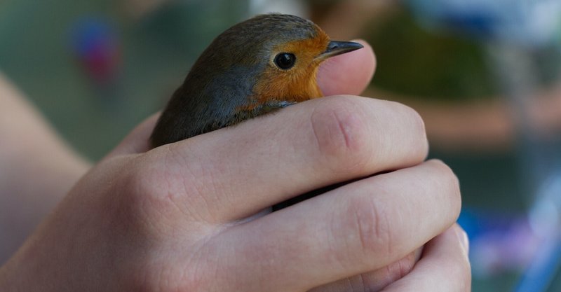 手放すことの格好良さ しげこ Note