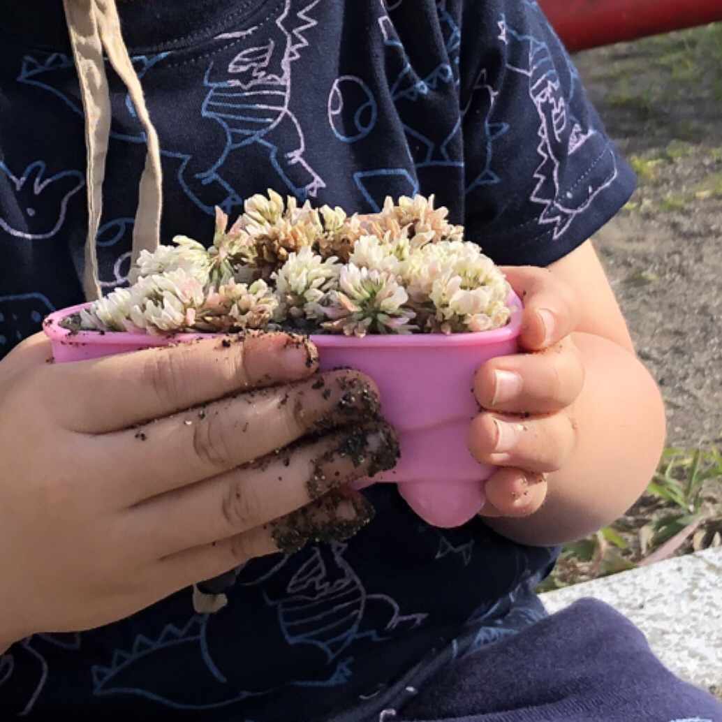 結婚前のすり減った話 前編 さくら Note 結婚前のすり減った話 前編 さくら Note