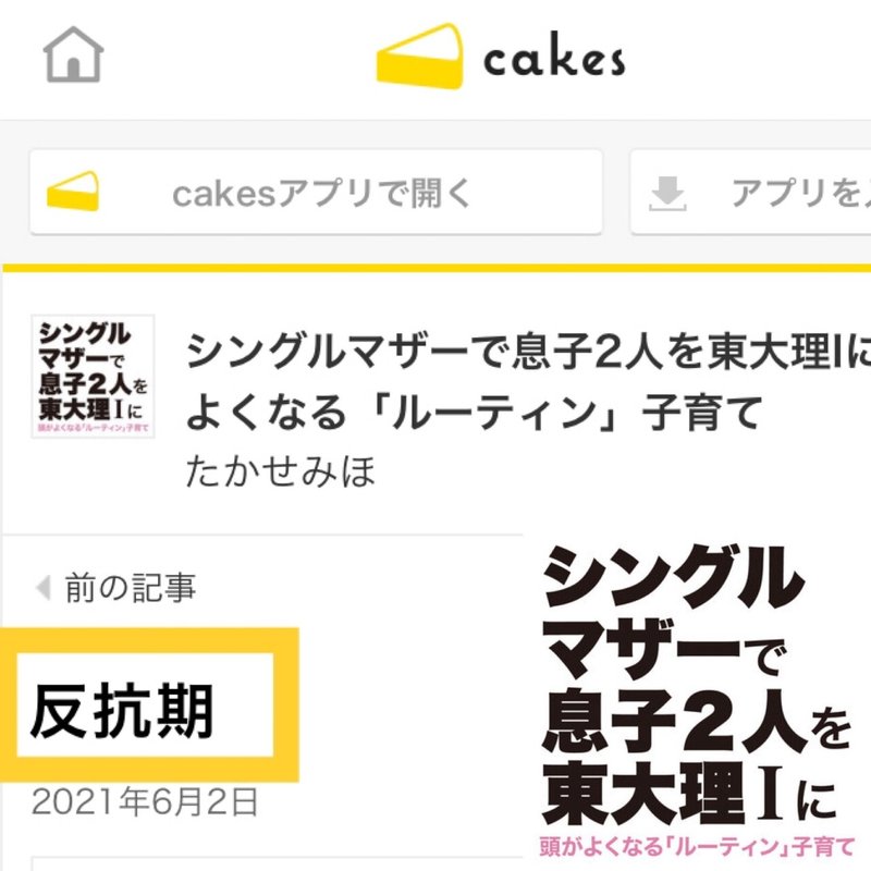 cakes_反抗期