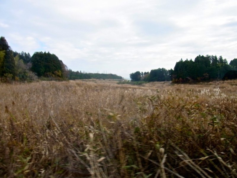 17年11月 福島 福島第一原発 鈴木邦弘 Note