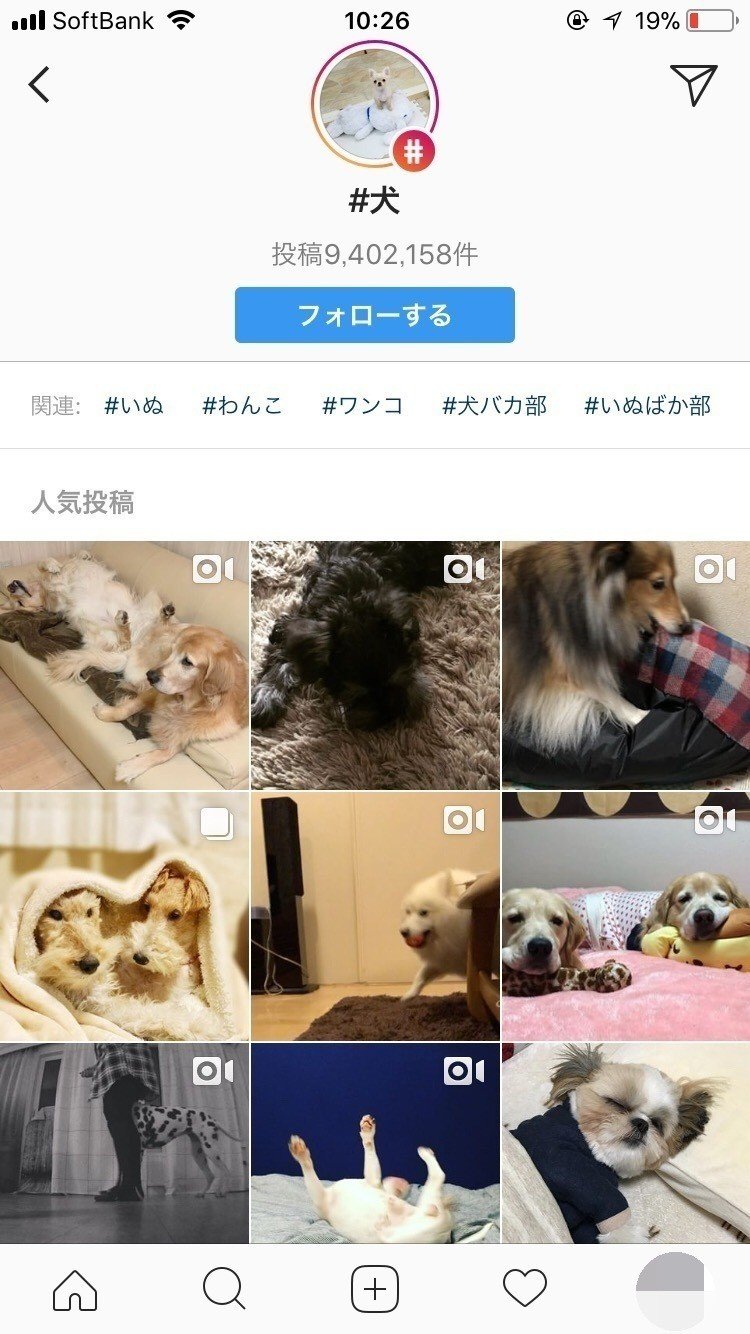 インスタグラムでハッシュタグのフォローが可能になるとどうなるのか ほりこす Note インスタグラムでハッシュタグのフォローが可能になるとどうなるのか ほりこす Note