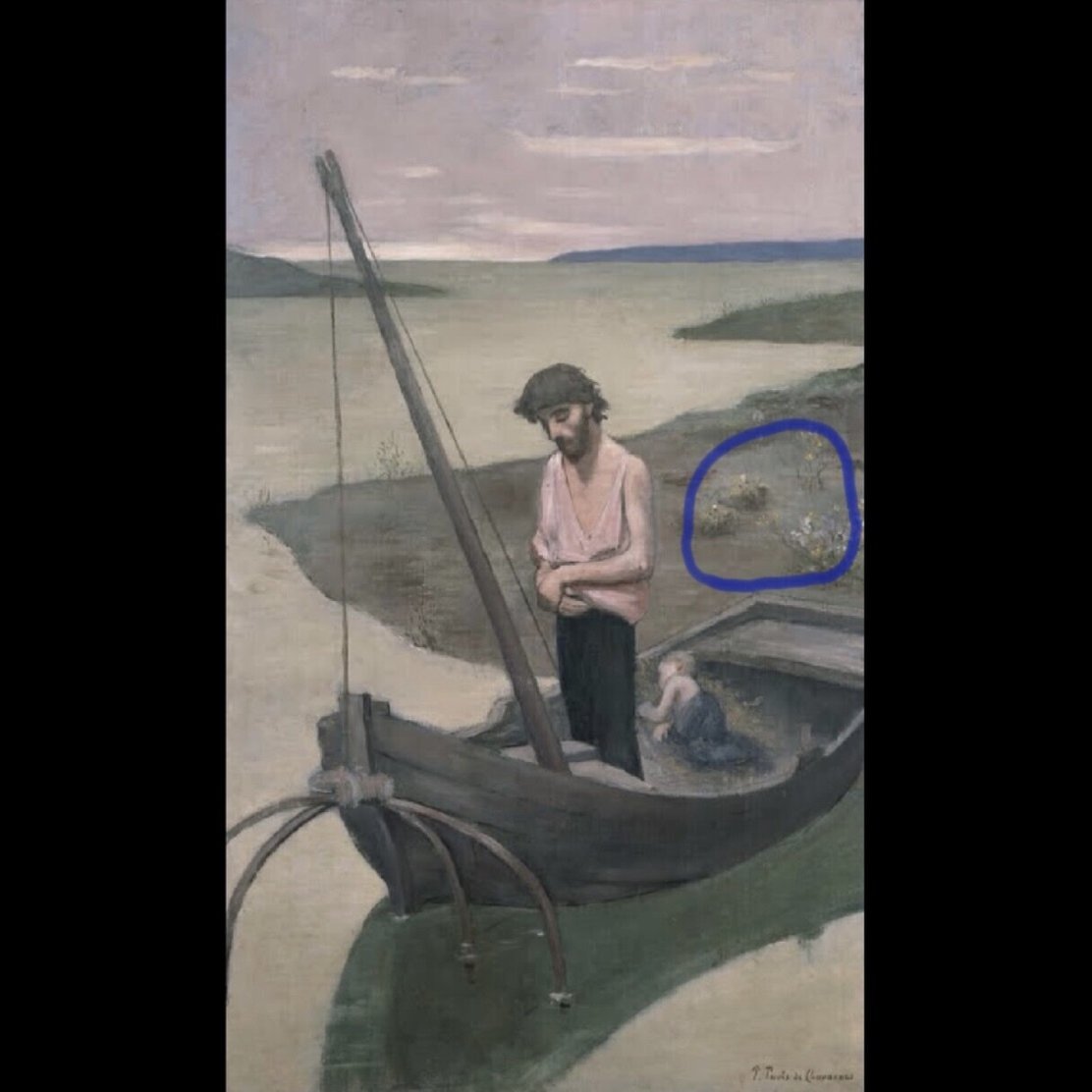 広大な森の中で小さな「花」に注目｜Le yusée