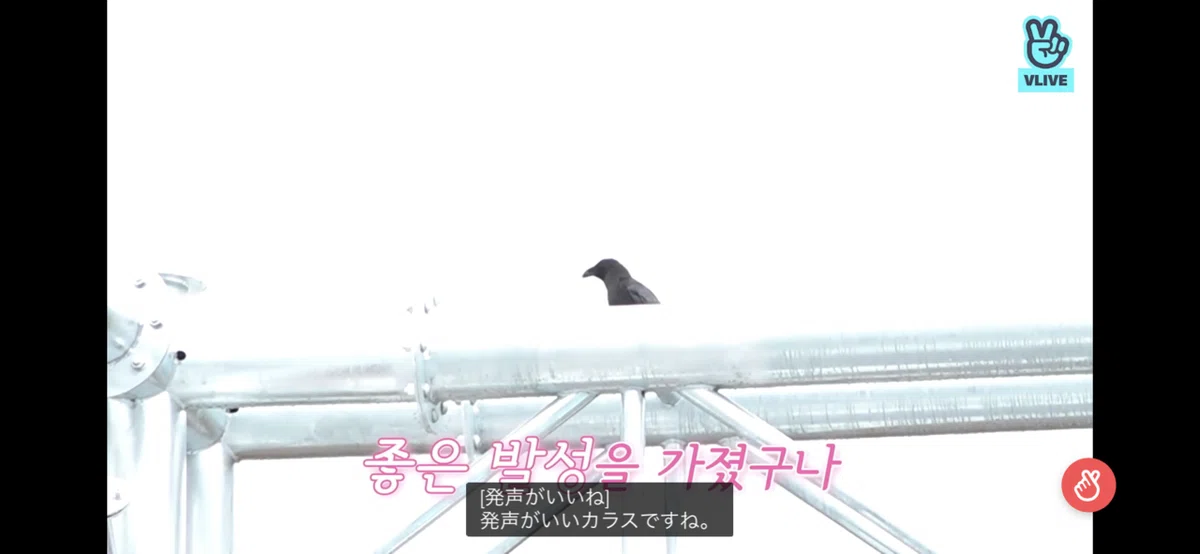 画像18
