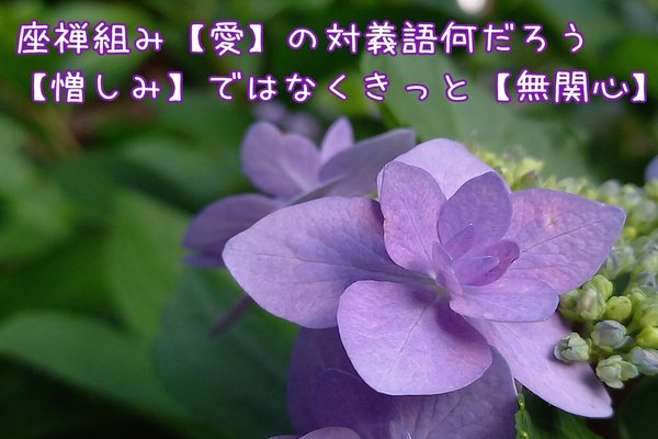 愛の対義語とは の新着タグ記事一覧 Note つくる つながる とどける