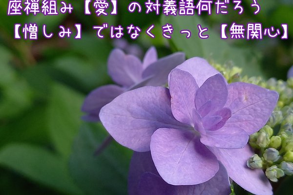 愛の対義語とは の新着タグ記事一覧 Note つくる つながる とどける 愛の対義語とは の新着タグ記事一覧 Note つくる つながる とどける