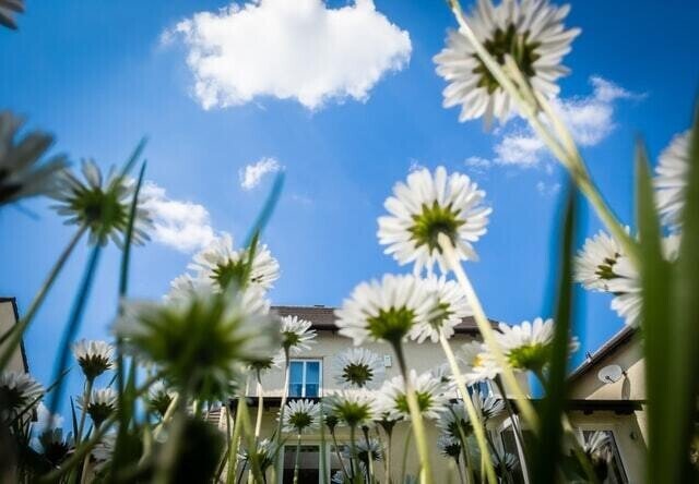 小学校受験 鎌倉女子大学初等部 願書の書き方 面接内容 質問内容まとめ 絶対合格 お受験情報 Note