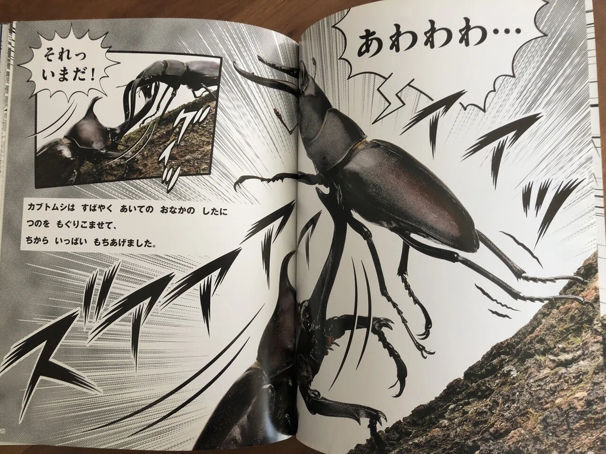画像2