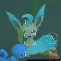 Newポケモンスナップ攻略 イーブイ 星1 4 高得点のポイント クアンとケモン Note