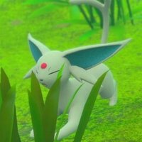 リーフィア 星1 星4高得点ポイント Newポケモンスナップ クアンとケモン Note