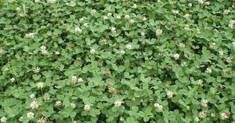 You39の21年6月のノート Note