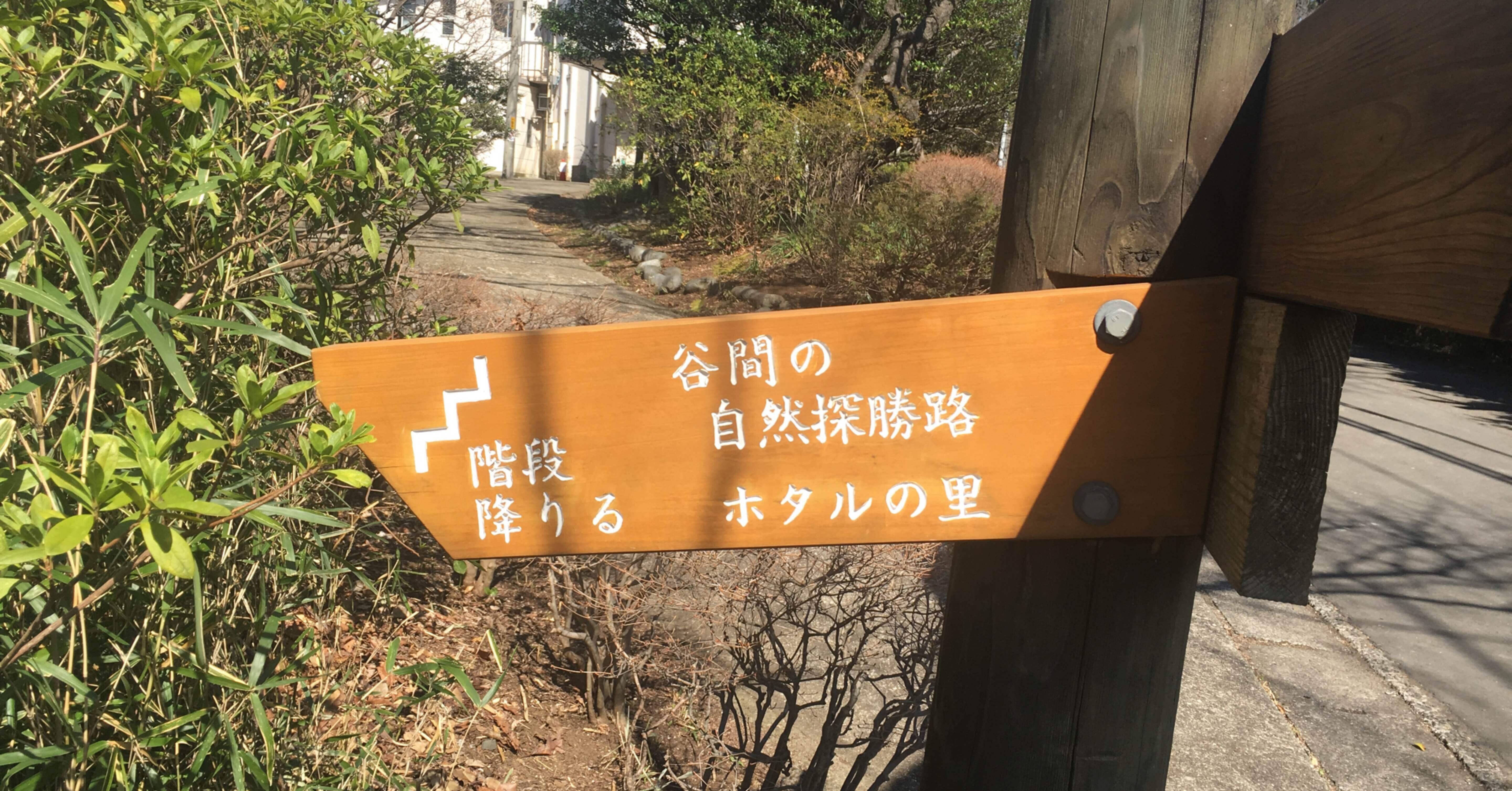 生田緑地 ホタルの国 訪問記 まえがみ Note 生田緑地 ホタルの国 訪問記 まえがみ Note