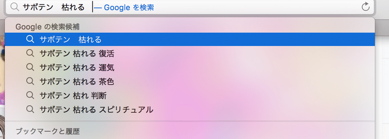 サボテンを枯らした話 あいご バツ２目前ノンフィクション別居日記 Note