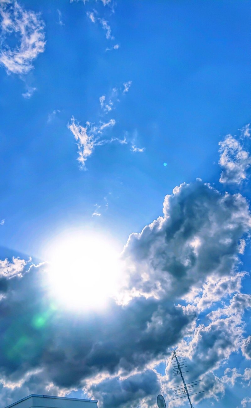 夏といえばソフトクリームです の新着タグ記事一覧 Note つくる つながる とどける