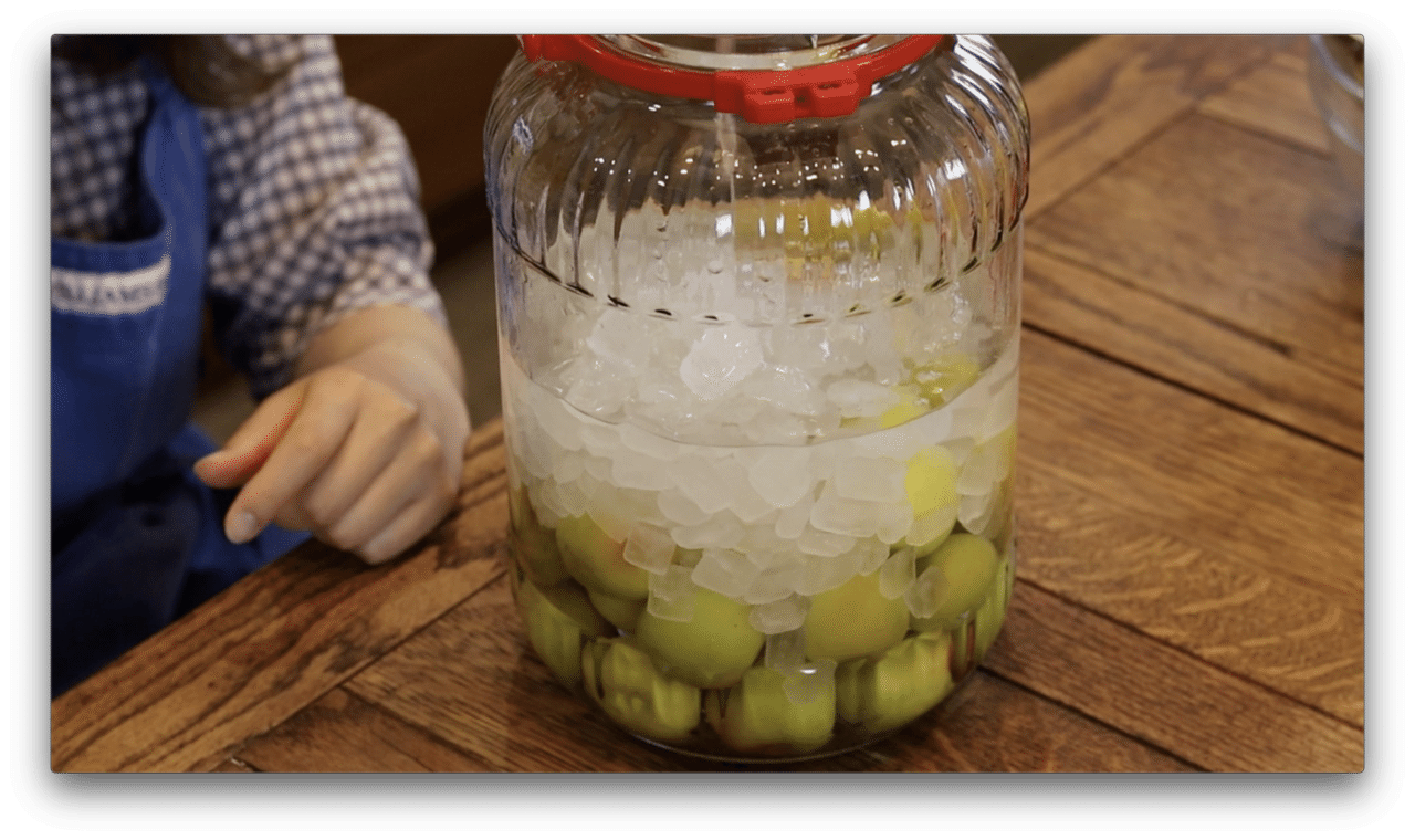 レシピ 簡単にできる梅酒と梅シロップ 梅仕事 梅の日 Ralu Note レシピ 簡単にできる梅酒と梅シロップ 梅仕事 梅の日 Ralu Note