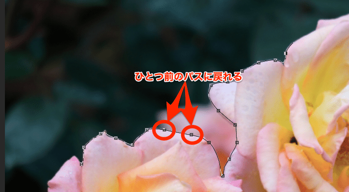 スクリーンショット_2021-05-29_16_32_44