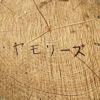 津和野ヤモリーズ