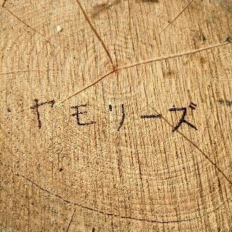 津和野ヤモリーズ